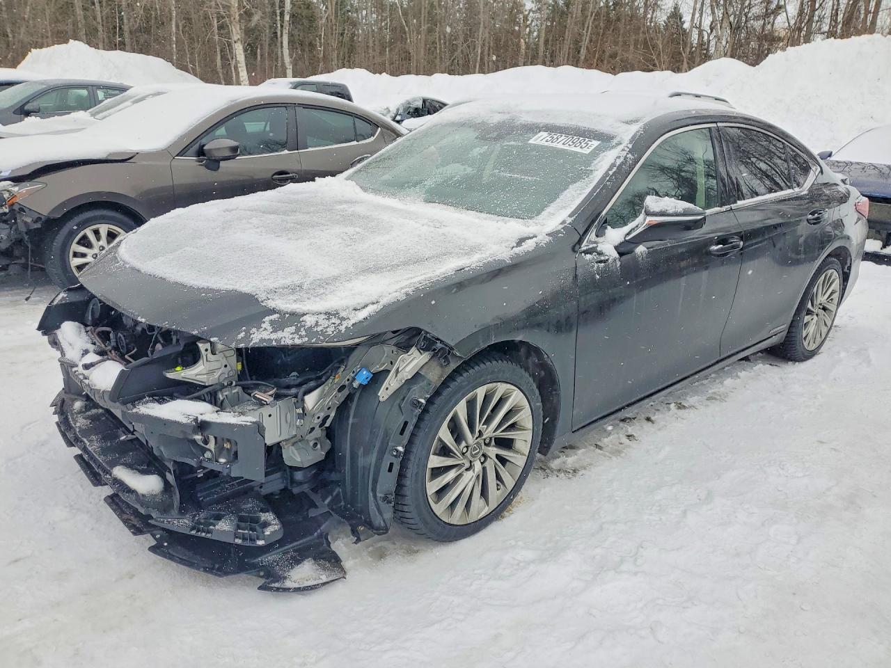 2019 LEXUS ES300