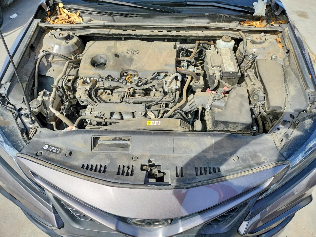 2023 TOYOTA CAMRY