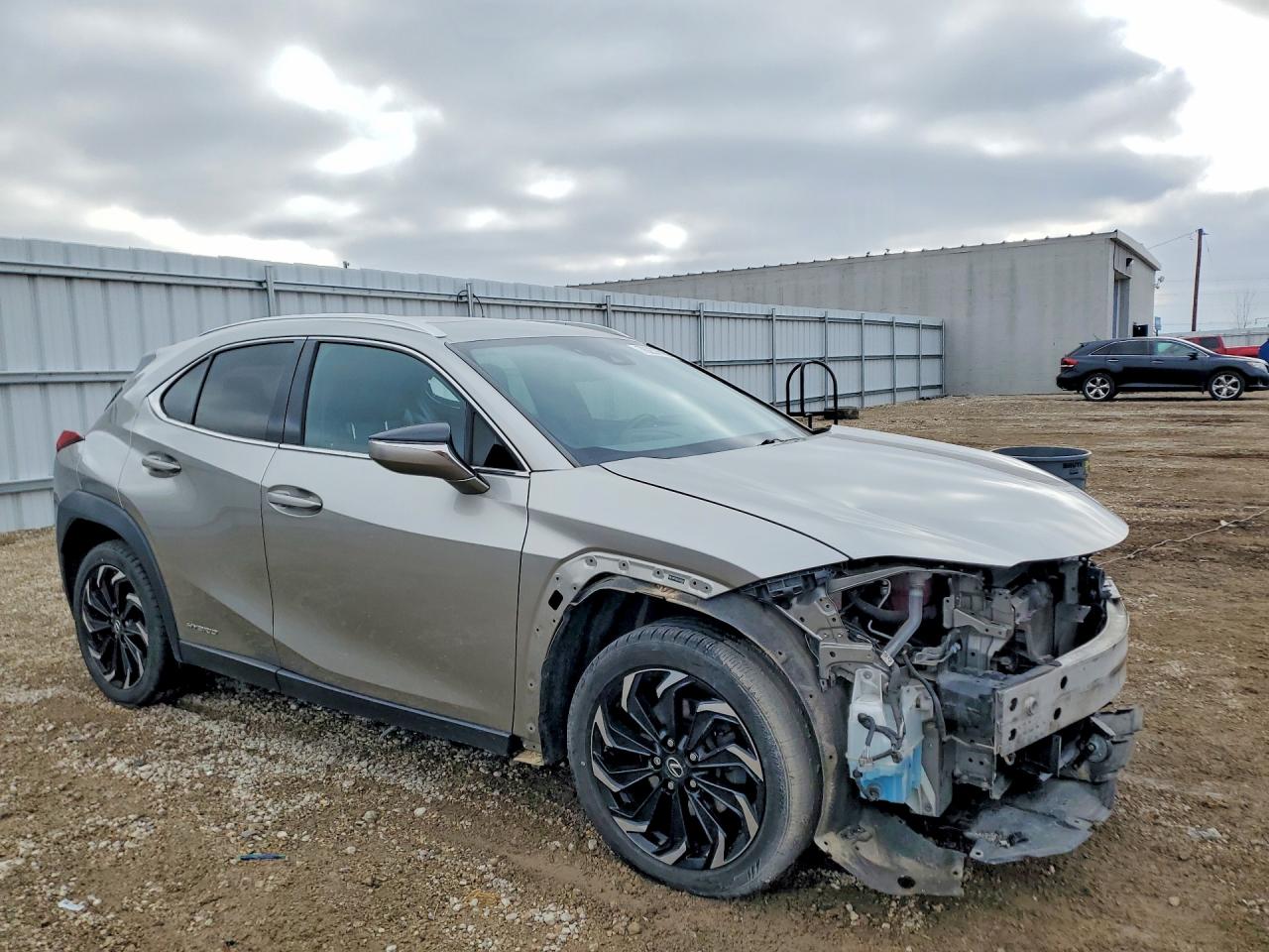 2020 LEXUS UX 250H
