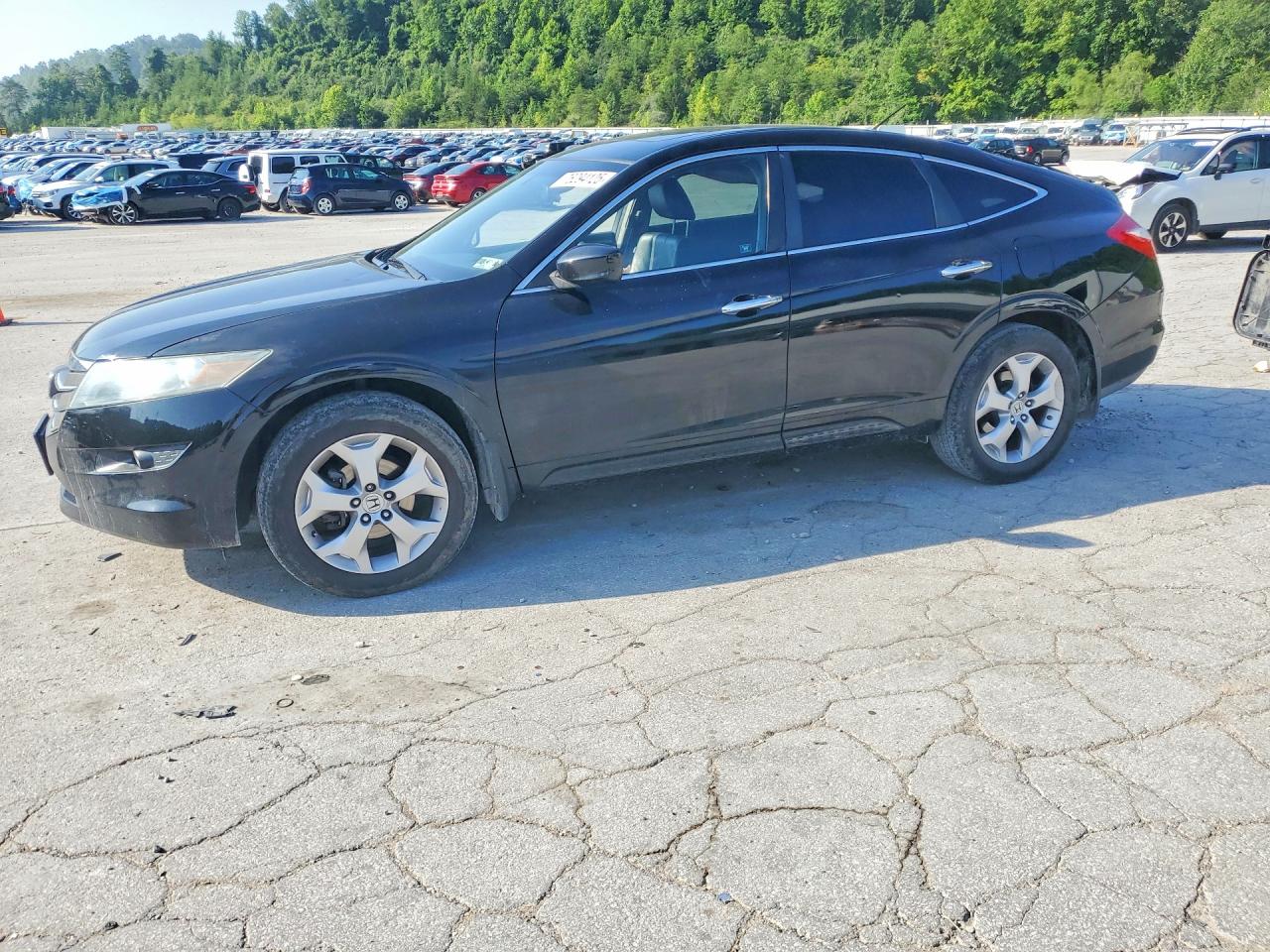 2010 HONDA ACCORD