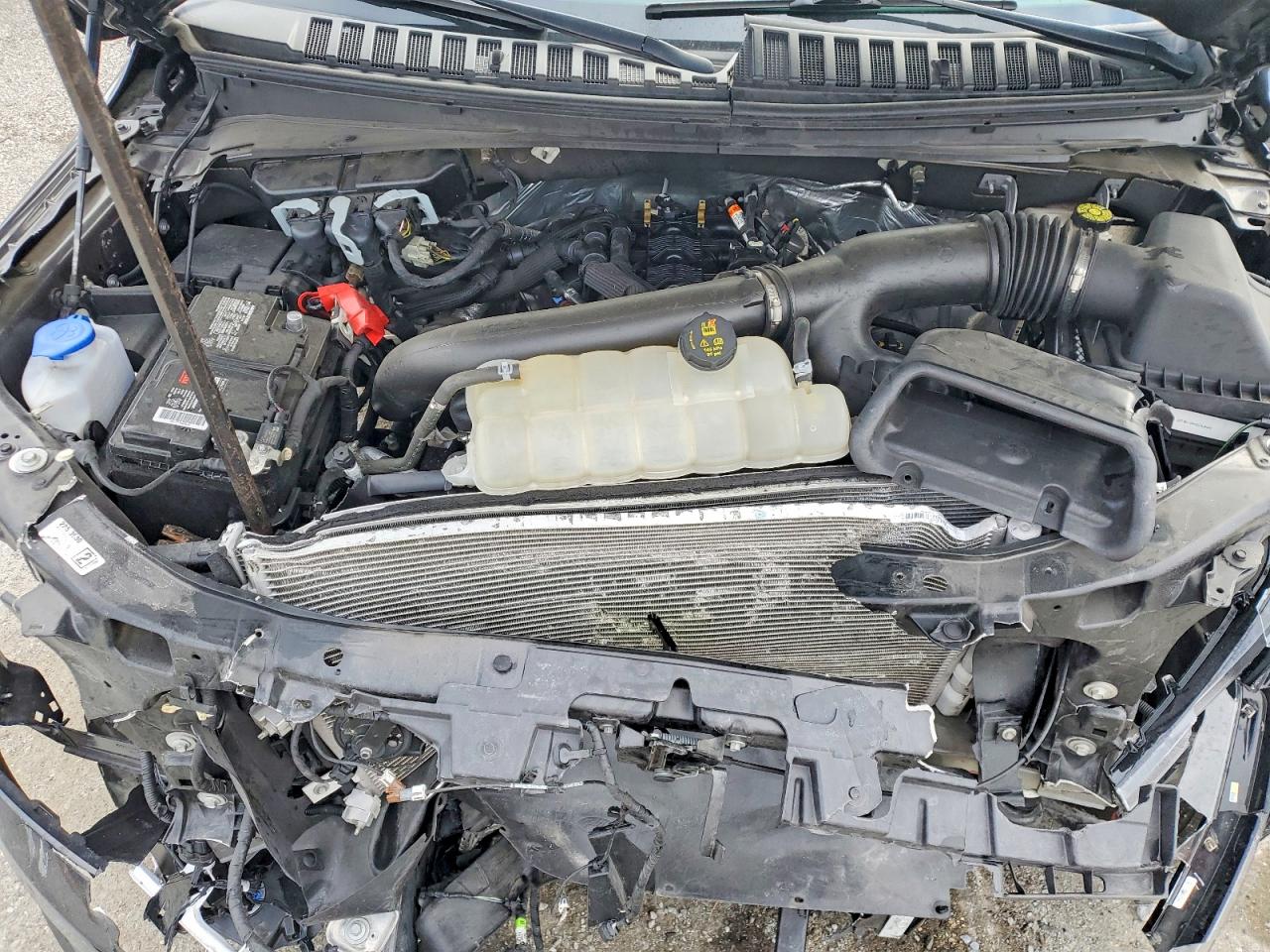 2023 FORD EXPEDITION