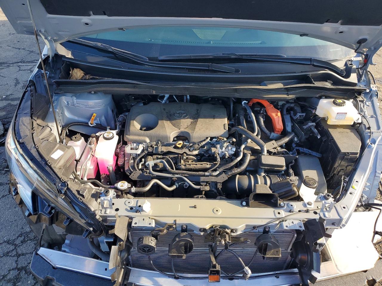 2025 TOYOTA SIENNA