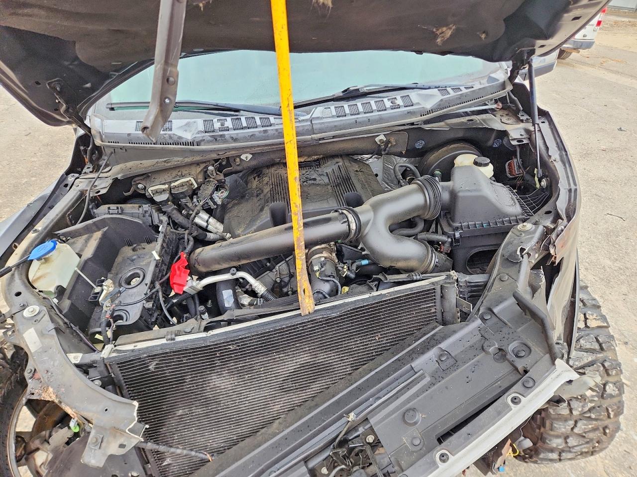 2019 FORD F150