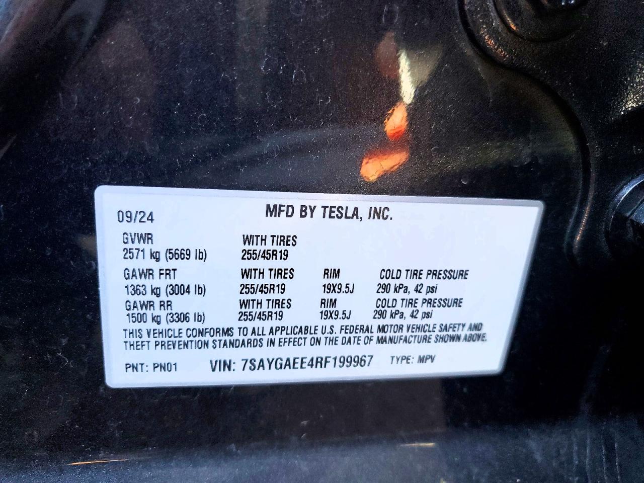 2024 TESLA MODEL Y