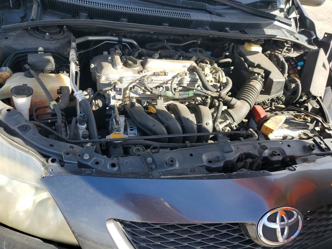 2010 TOYOTA COROLLA