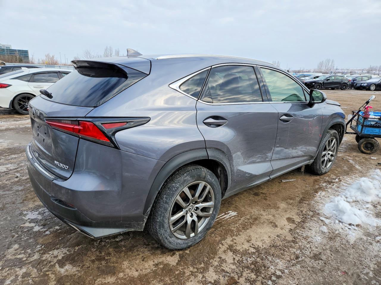 2021 LEXUS NX