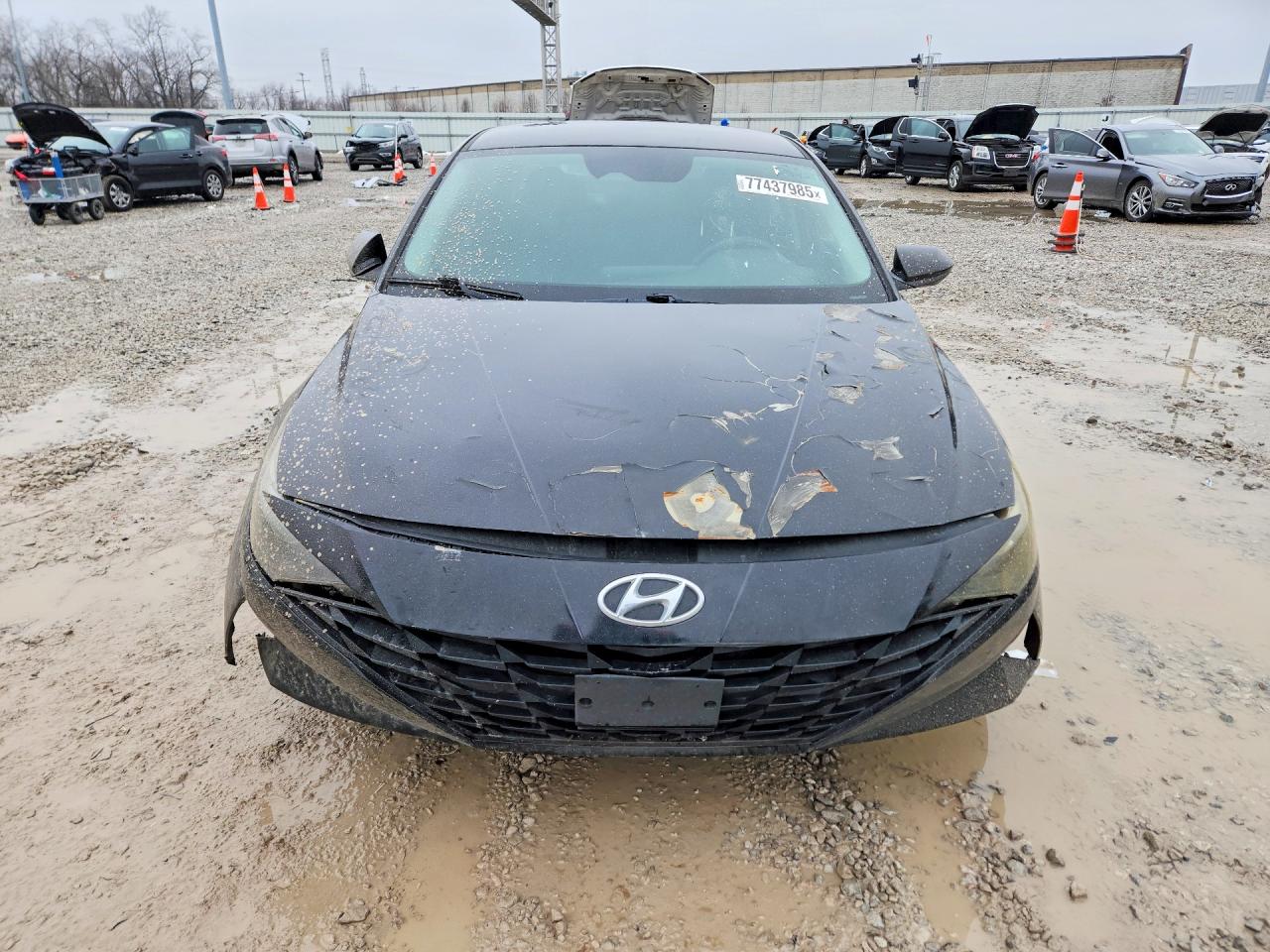2023 HYUNDAI ELANTRA