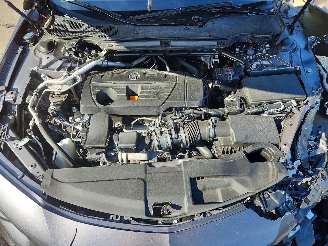 2023 ACURA TLX