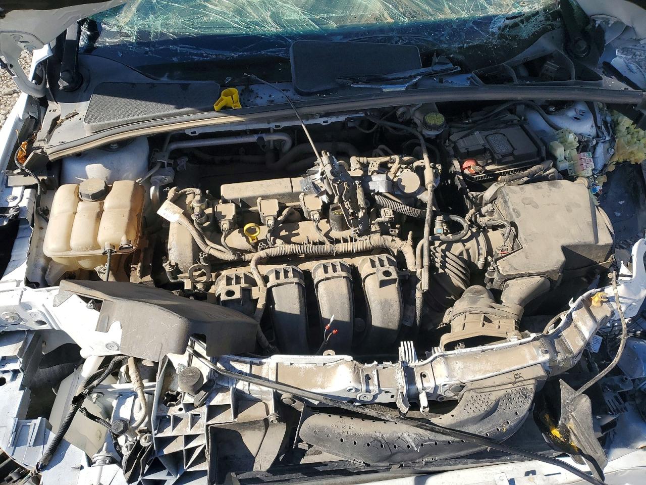 2016 FORD FOCUS