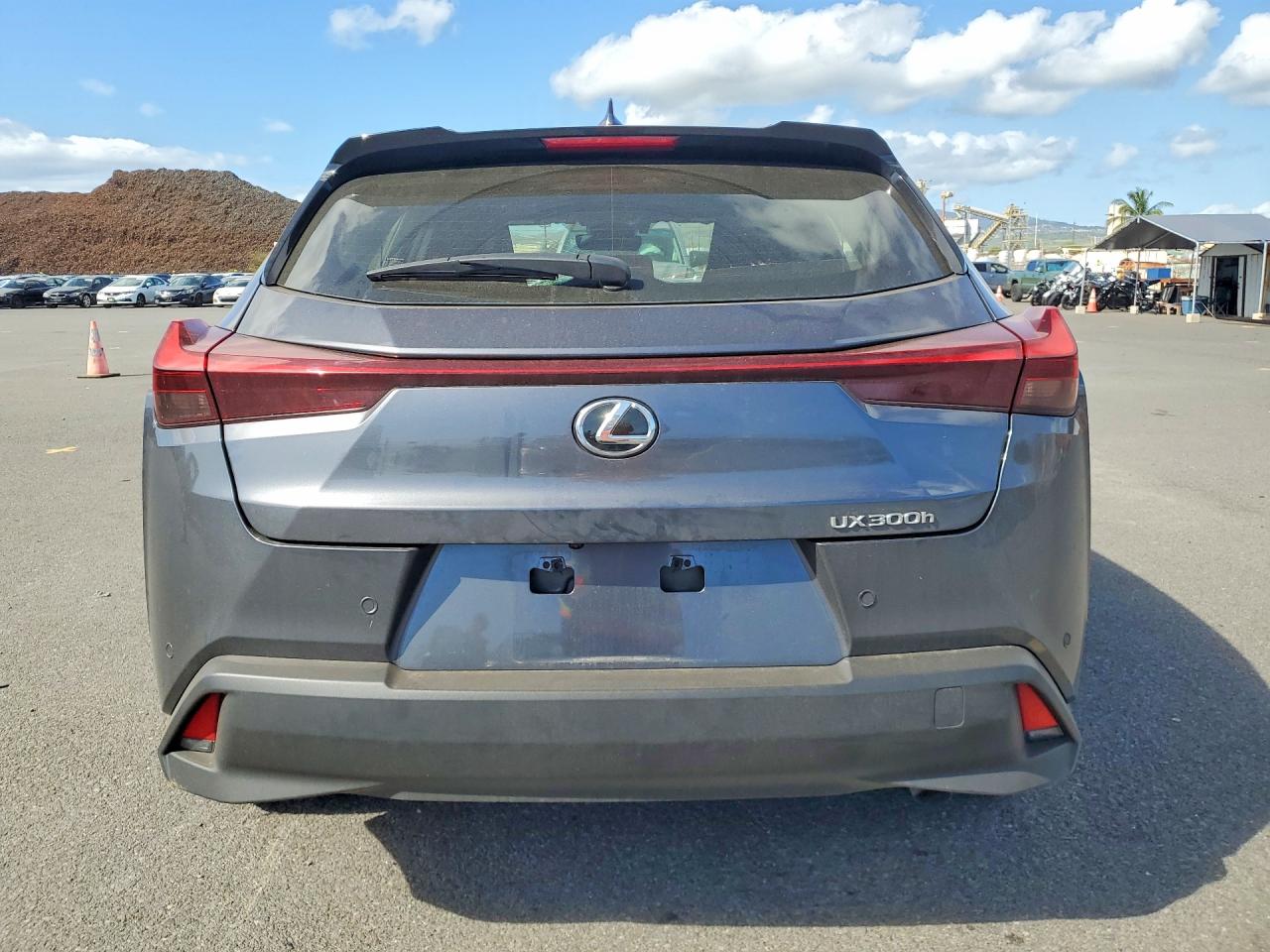 2025 LEXUS UX 300H BA