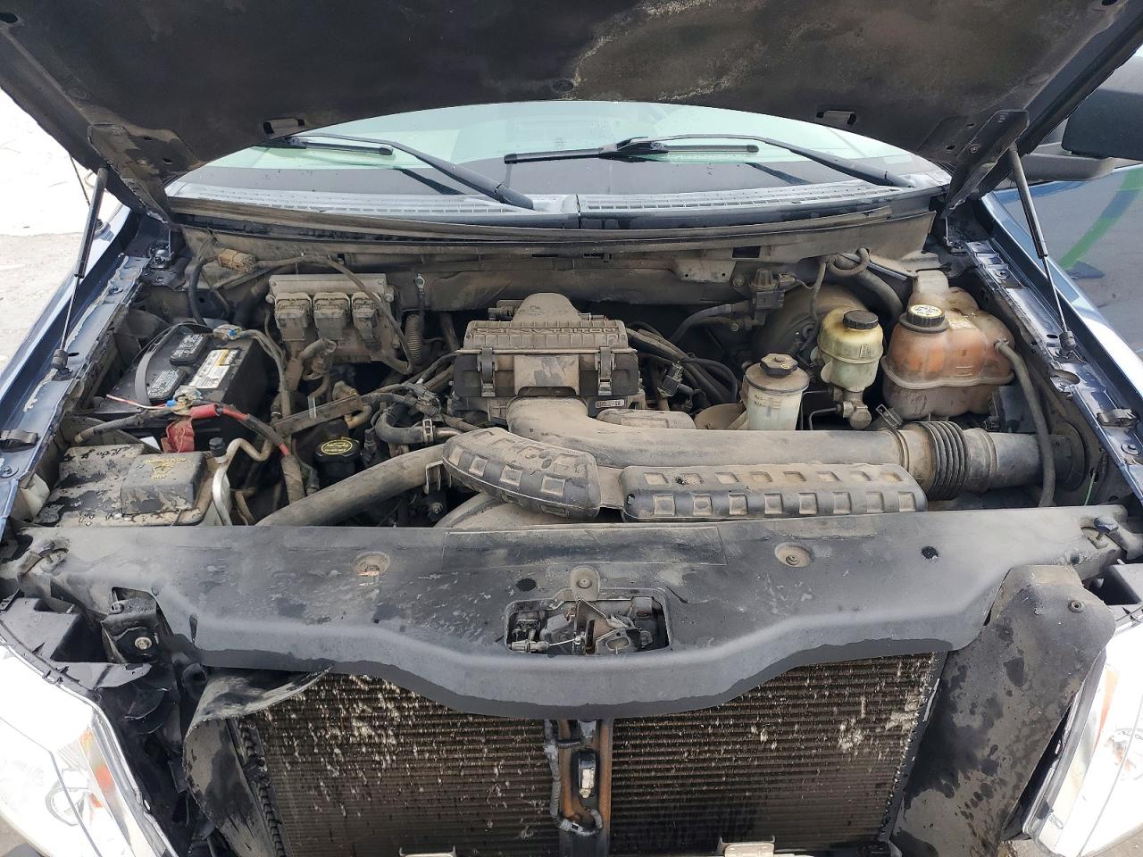 2004 FORD All Models