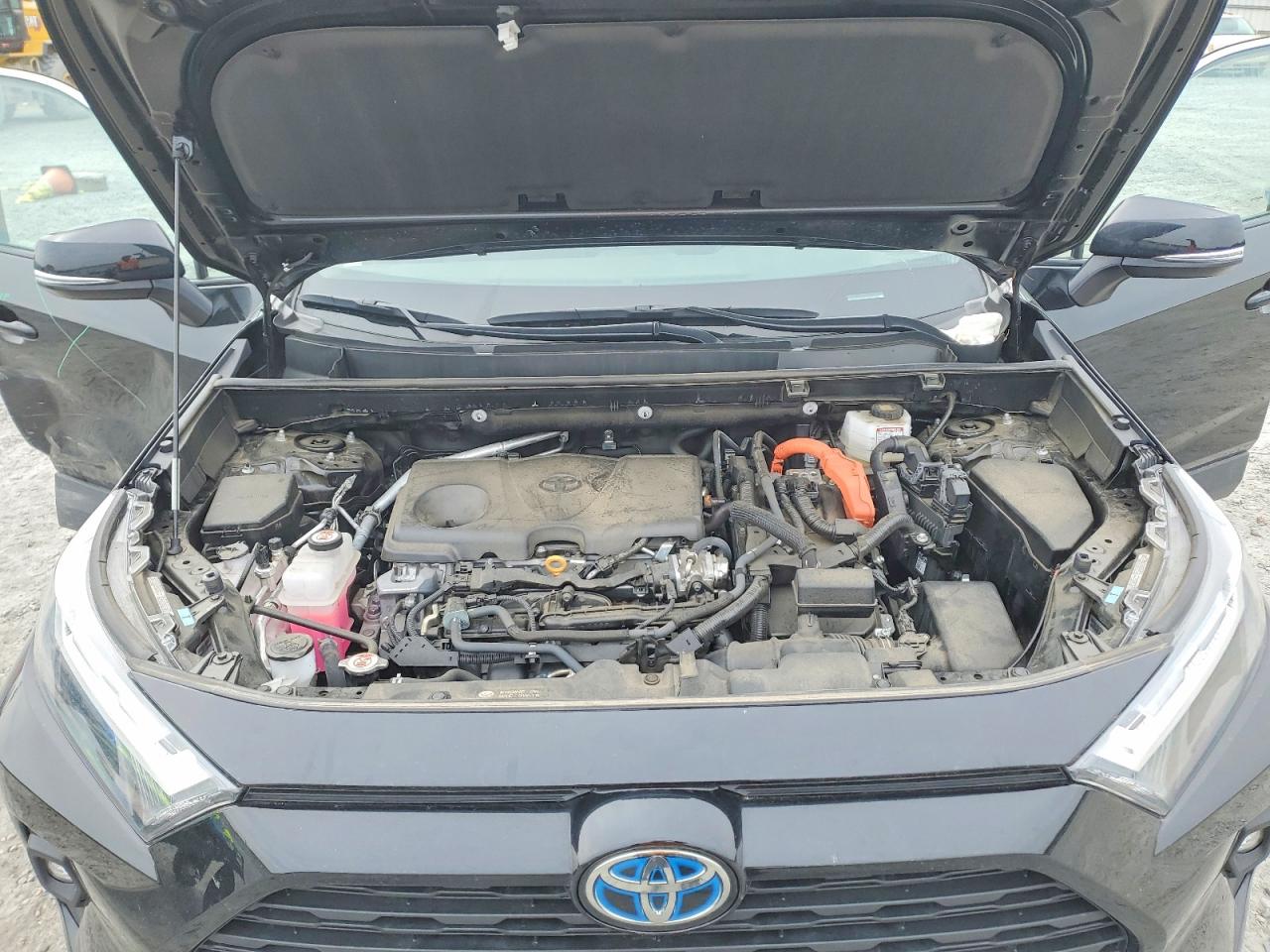 2024 TOYOTA RAV4 WOODL