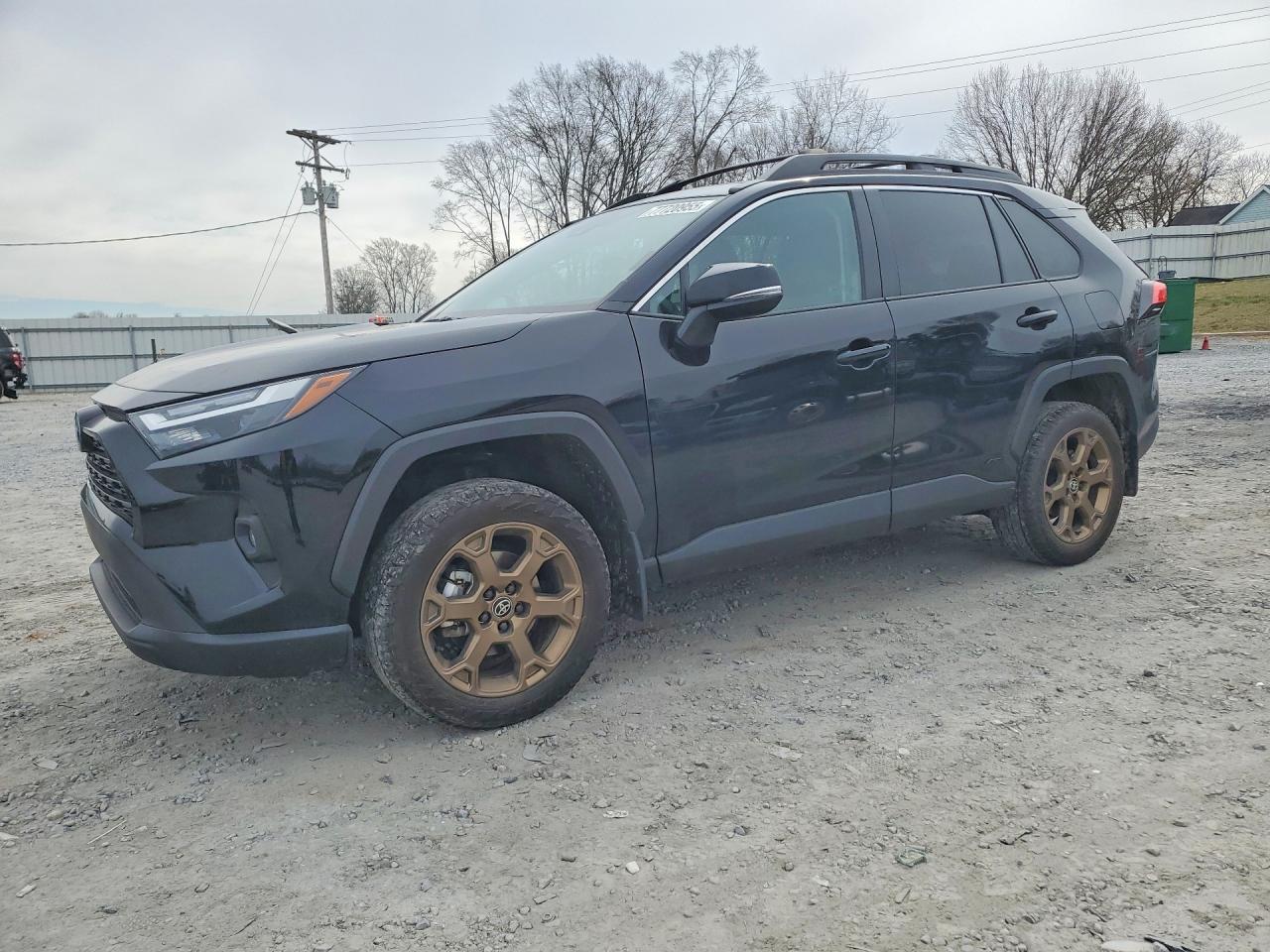 2024 TOYOTA RAV4 WOODL