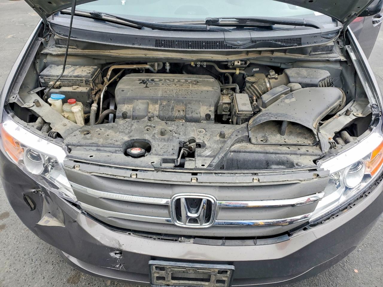 2011 HONDA All Models