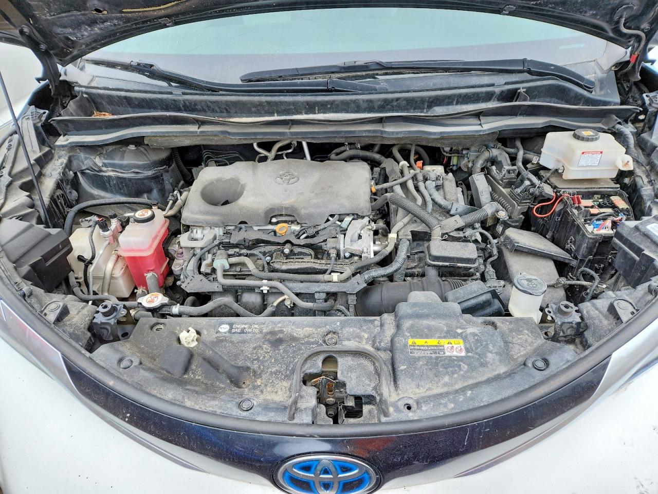 2021 TOYOTA All Models