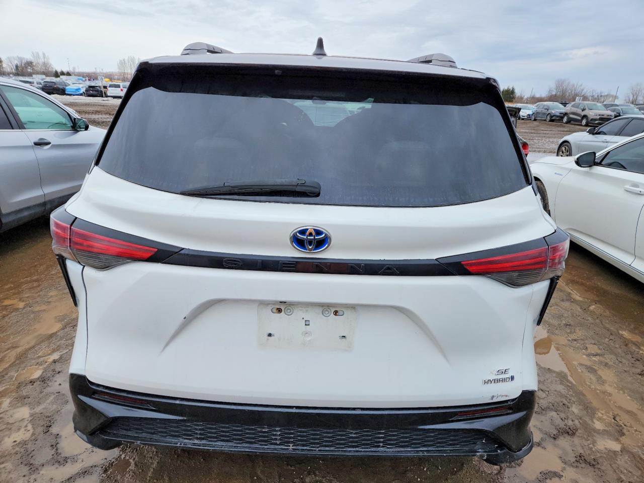 2021 TOYOTA All Models