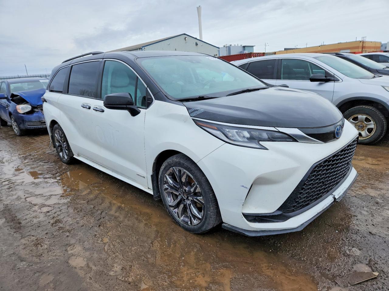 2021 TOYOTA All Models