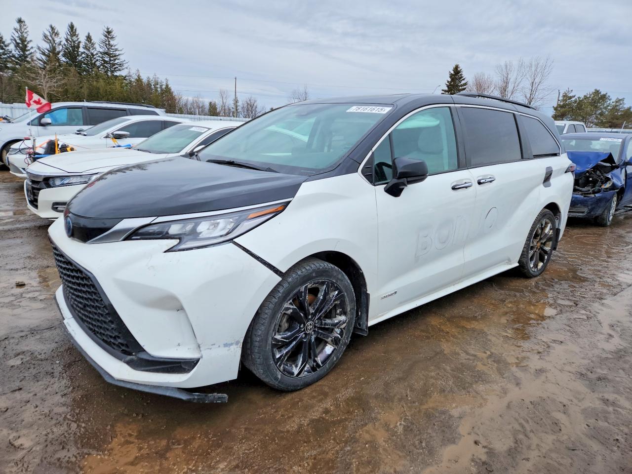 2021 TOYOTA All Models