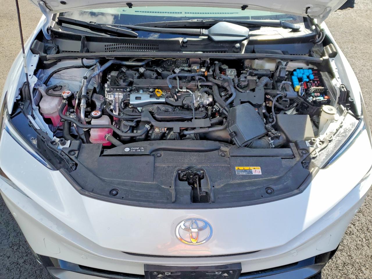 2024 TOYOTA PRIUS