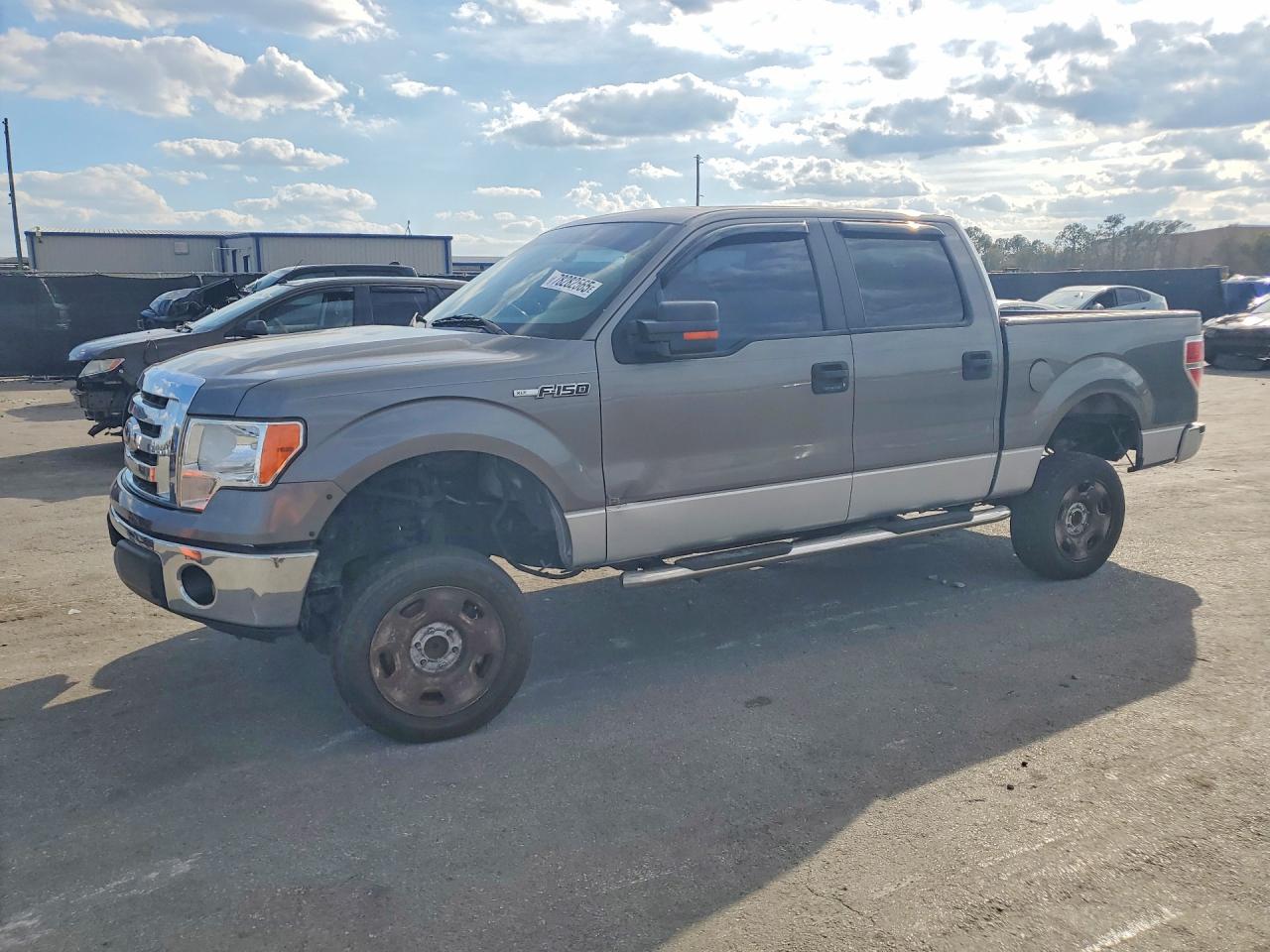 2010 FORD F-150