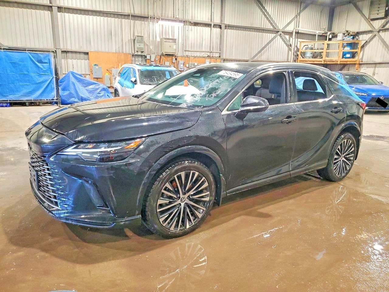 2024 LEXUS RX