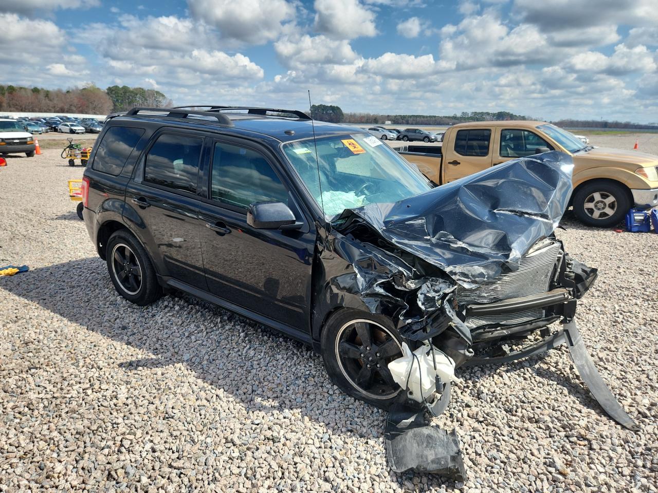 2011 FORD ESCAPE XLT