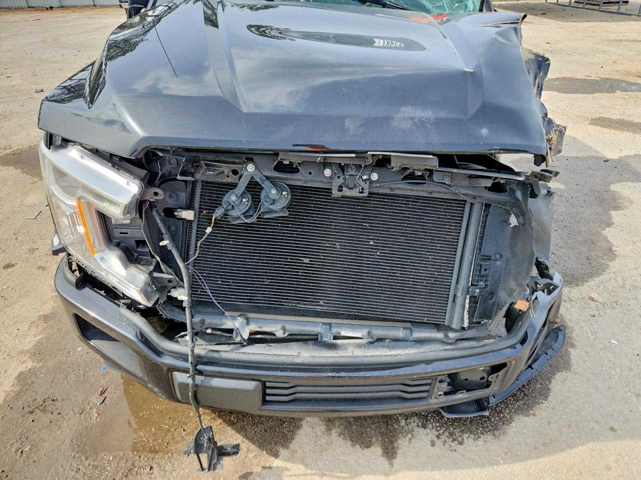 2019 FORD F150