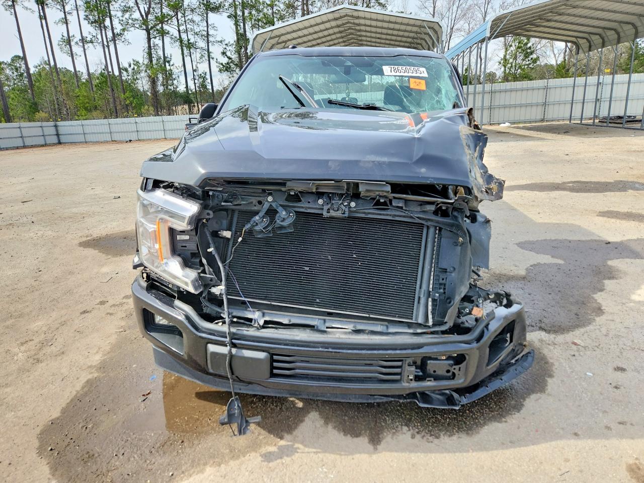 2019 FORD F150