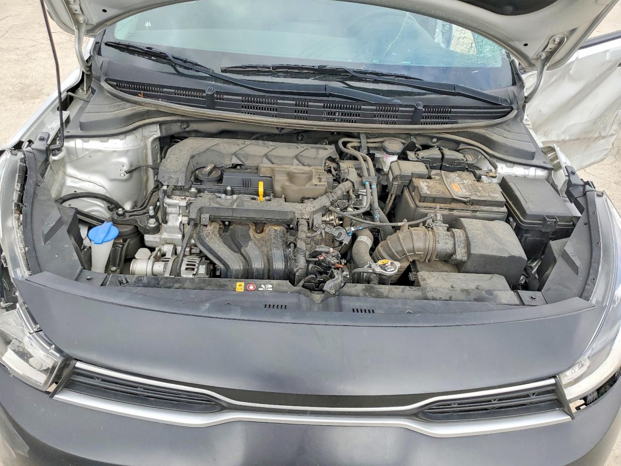 2023 KIA RIO
