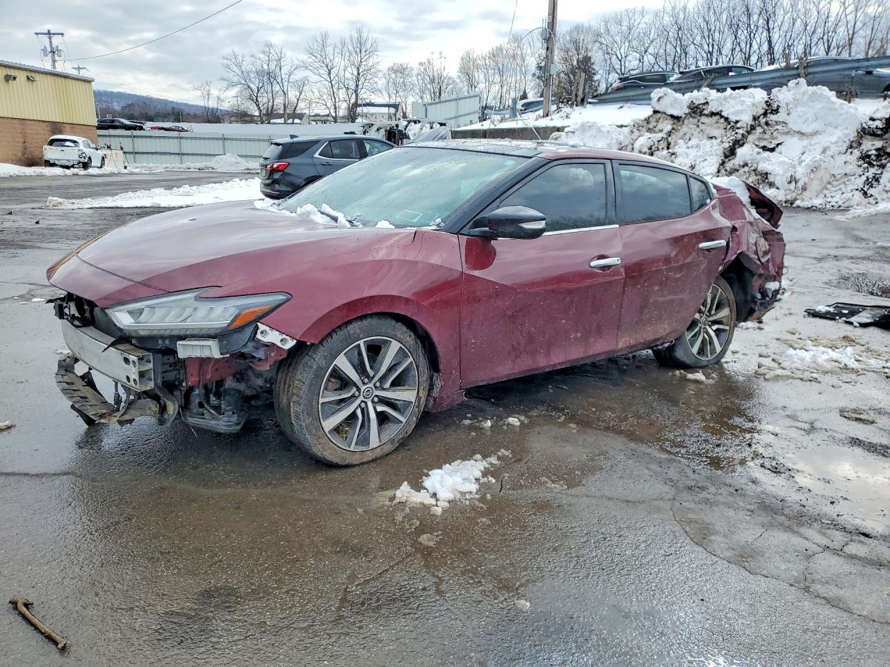 2019 NISSAN MAXIMA