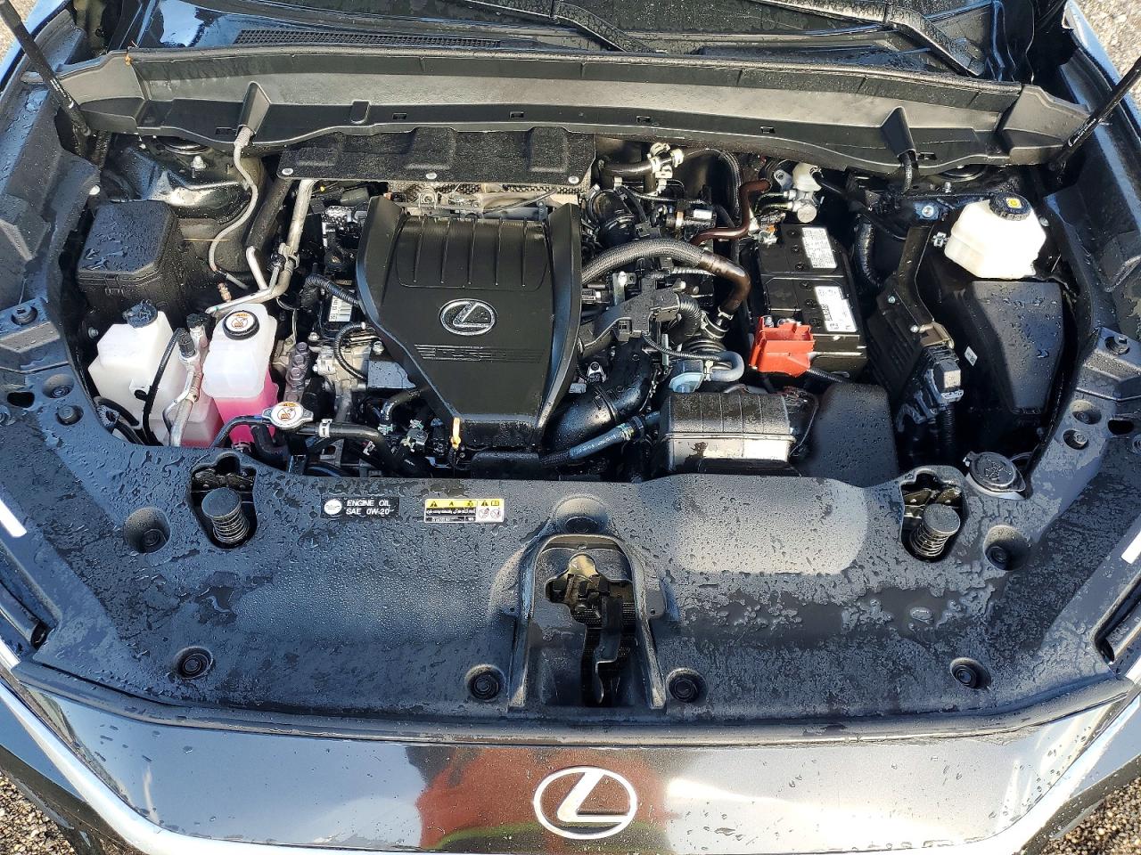 2025 LEXUS