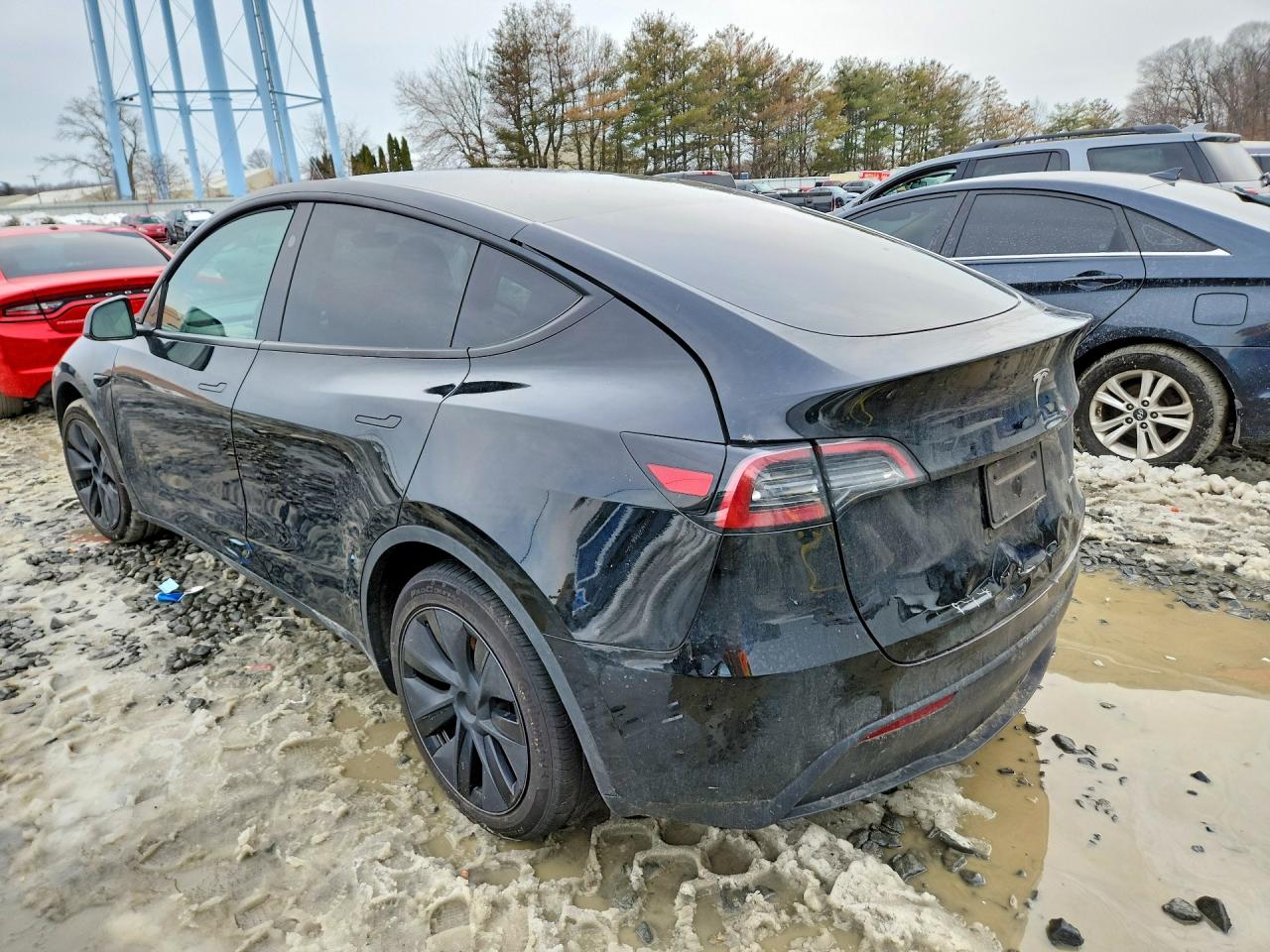 2025 TESLA MODEL Y
