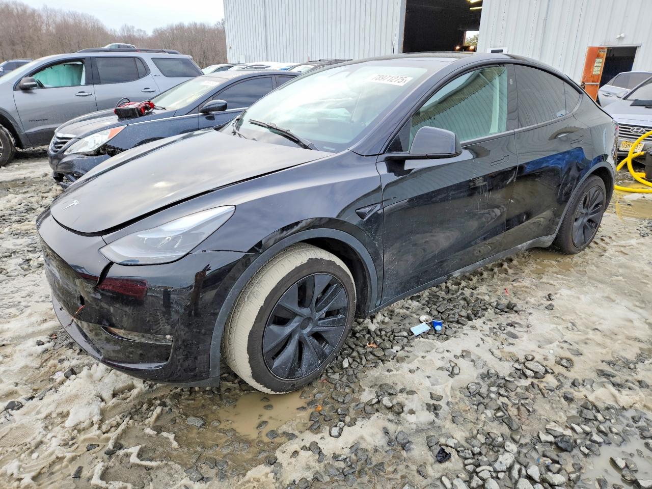 2025 TESLA MODEL Y