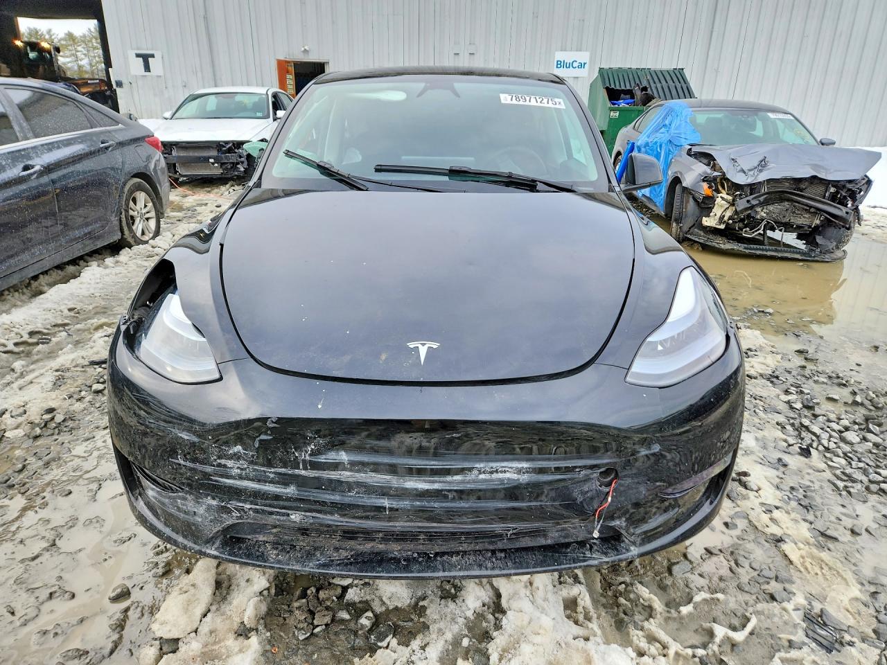2025 TESLA MODEL Y