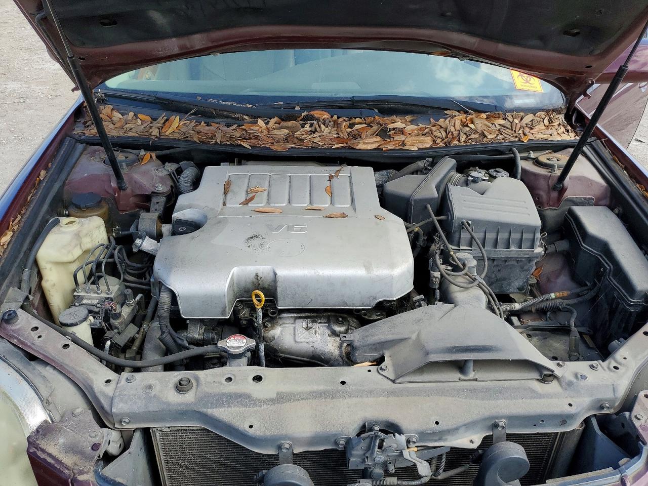 2006 TOYOTA AVALON