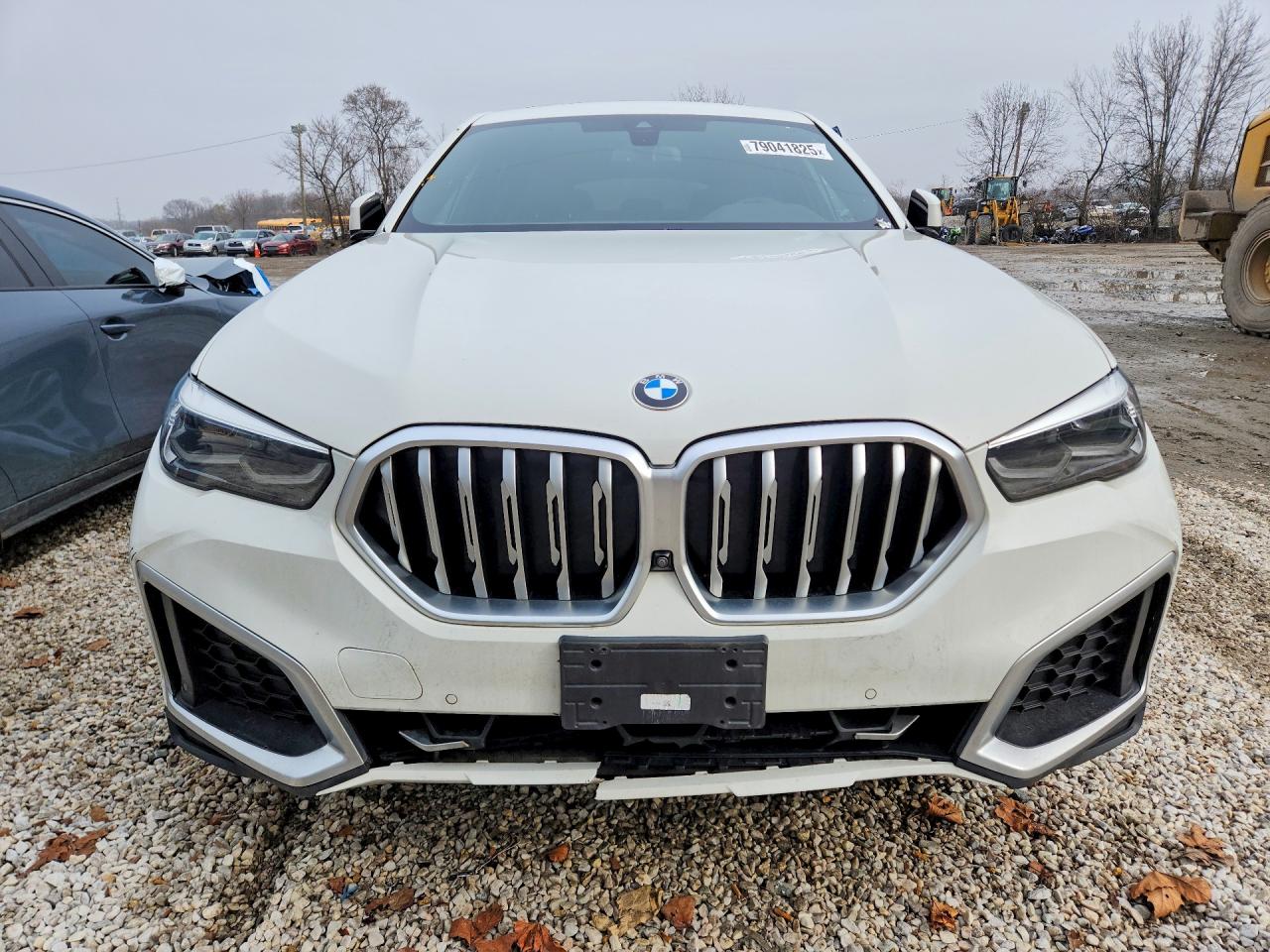 2020 BMW X6