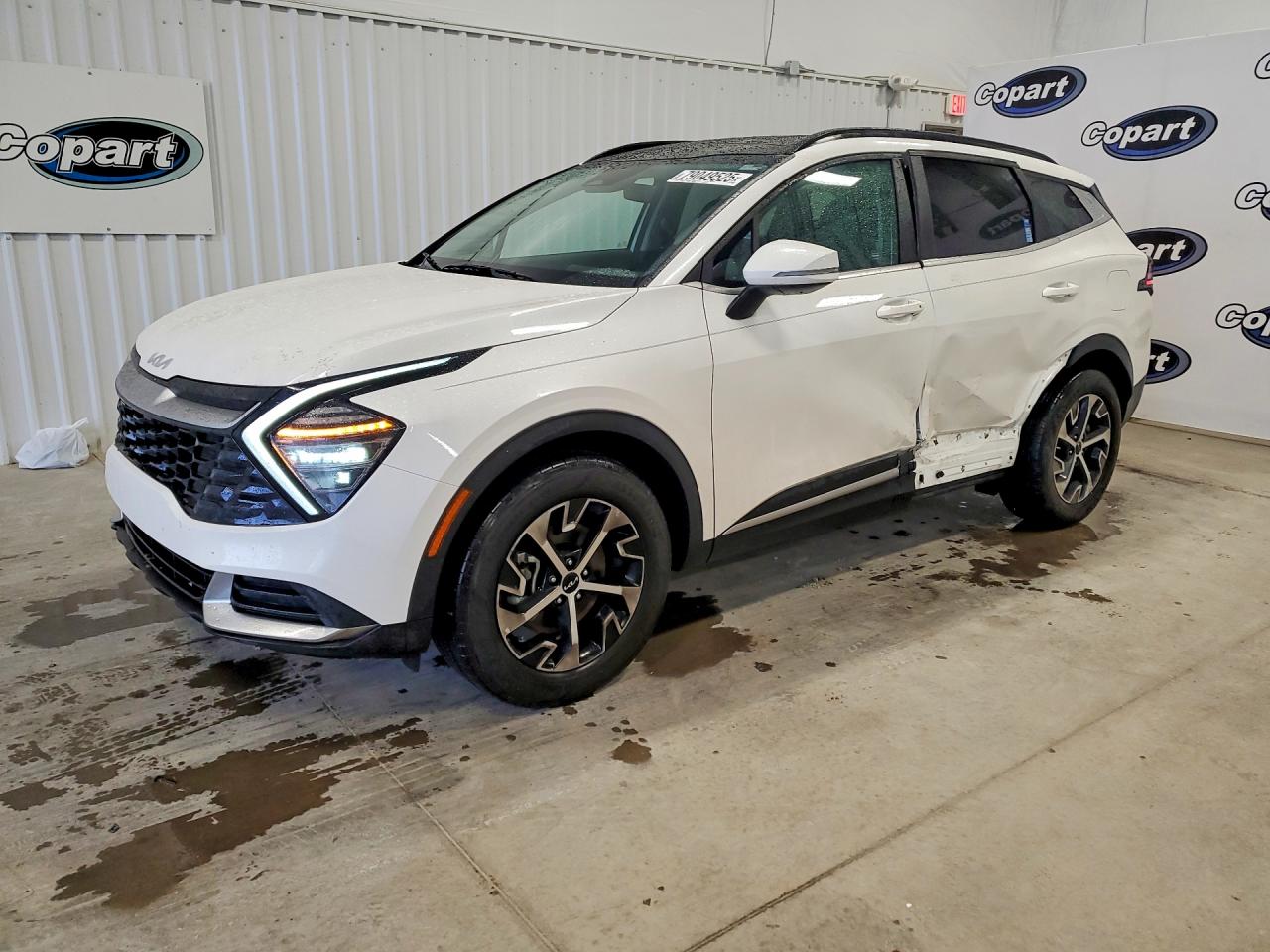 2024 KIA SPORTAGE
