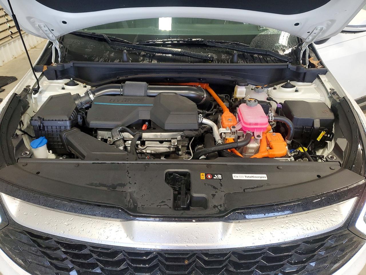 2024 KIA SPORTAGE