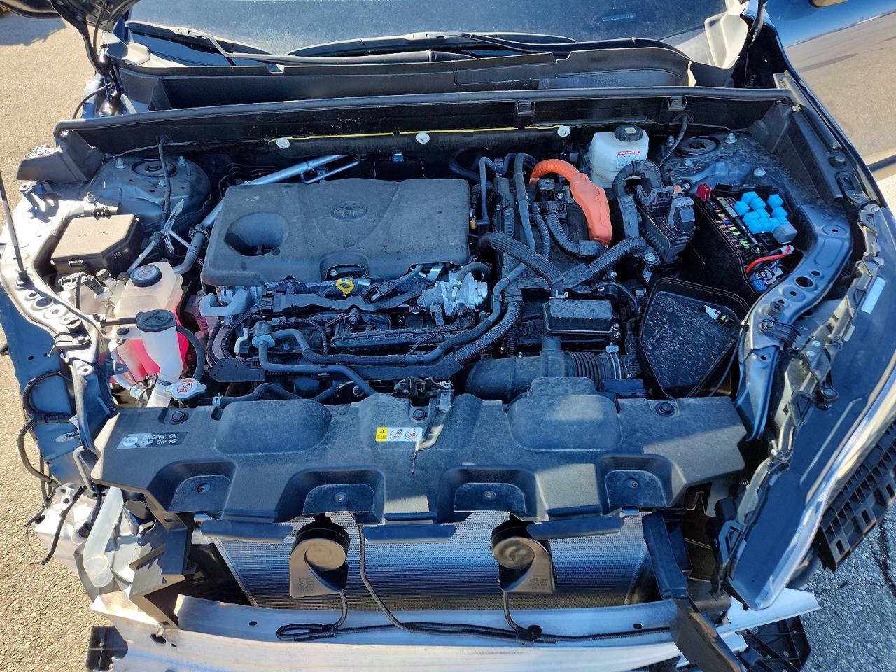 2024 TOYOTA VENZA