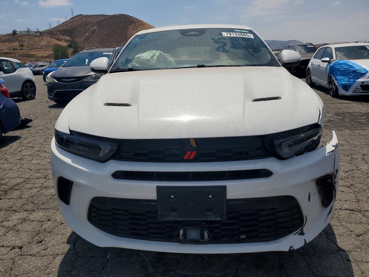 2024 DODGE HORNET R/T