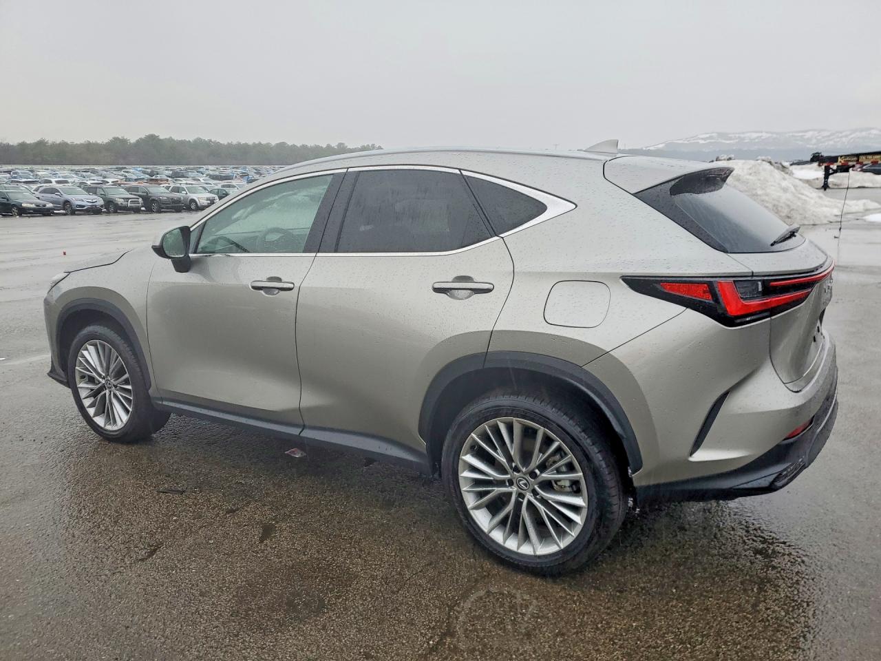 2025 LEXUS NX 350 PRE