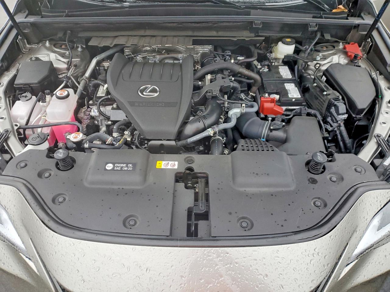 2025 LEXUS NX 350 PRE