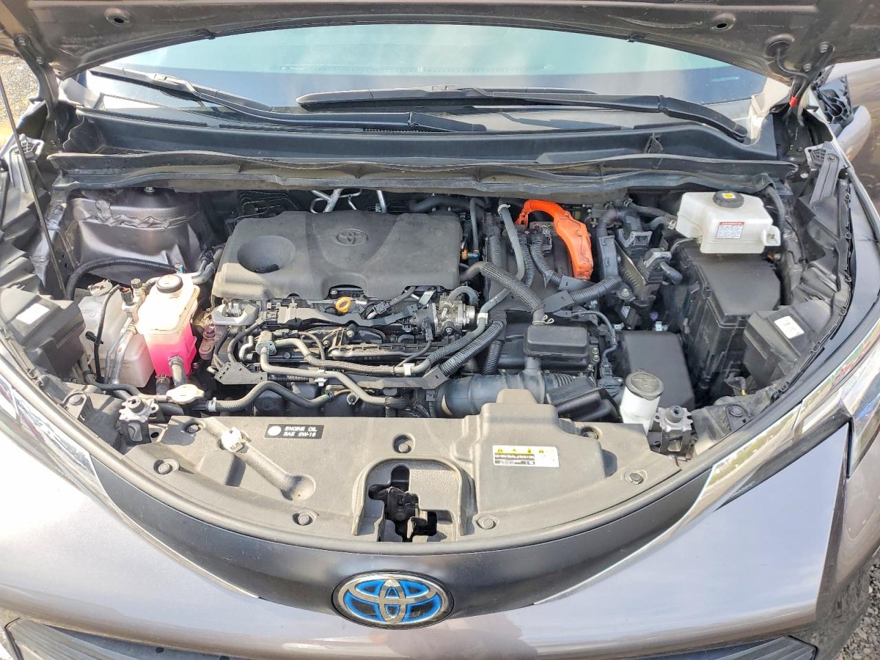2022 TOYOTA SIENNA