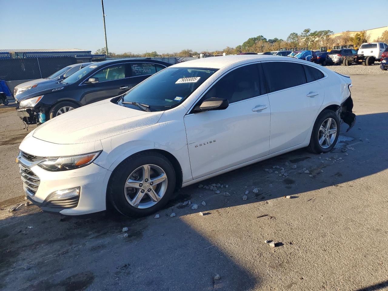 2019 CHEVROLET MALIBU