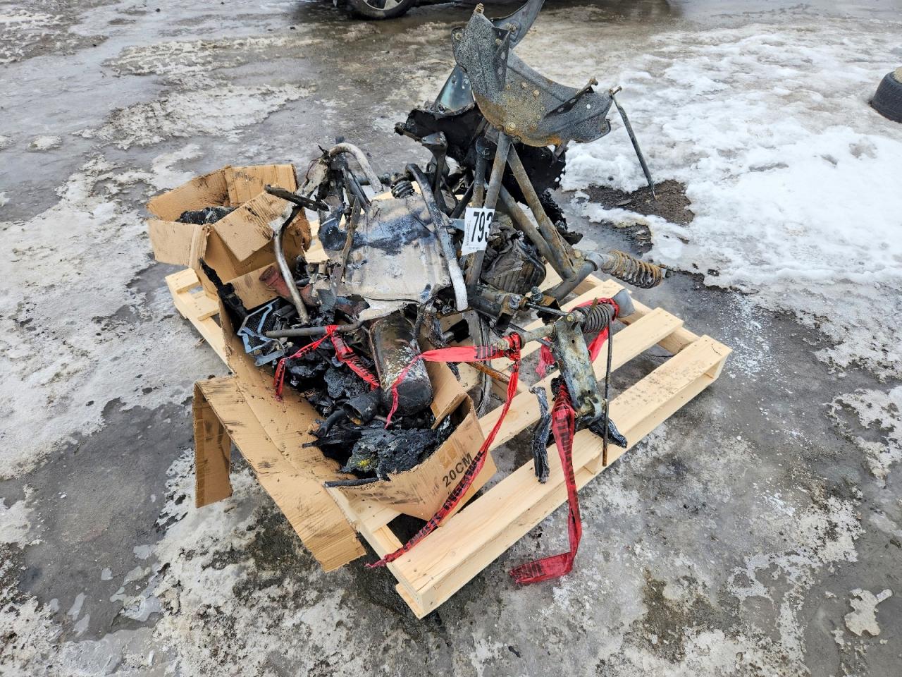 2007 SKI-DOO SKANDIC TUNDRA FAN 3