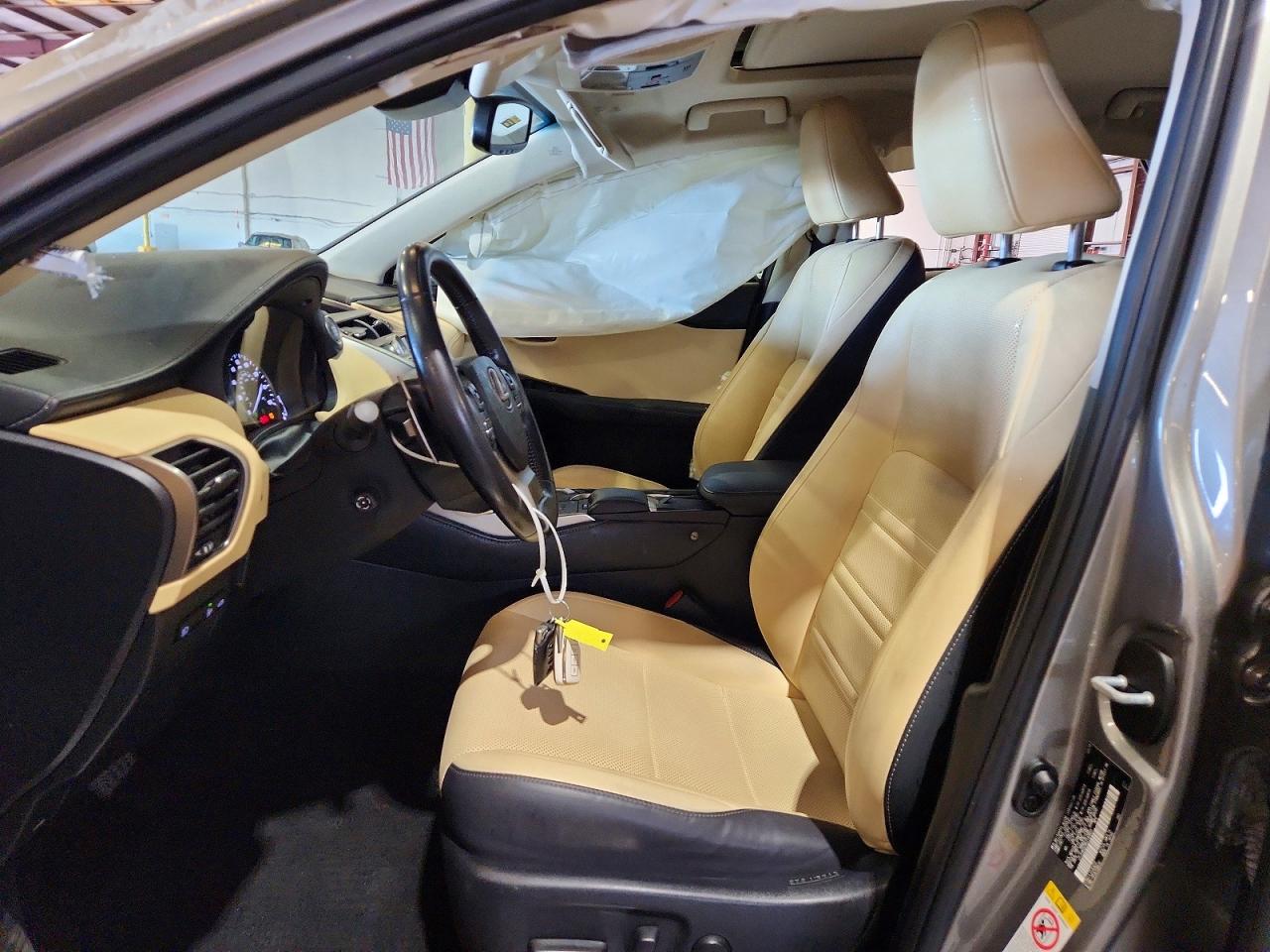 2019 LEXUS NX
