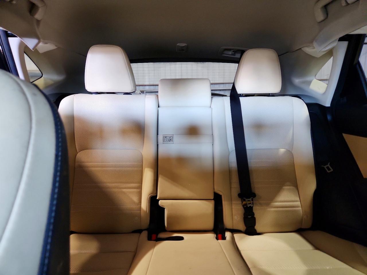 2019 LEXUS NX