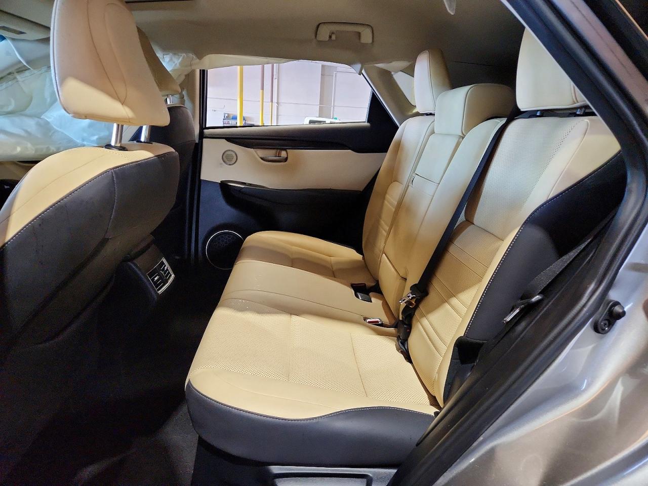 2019 LEXUS NX