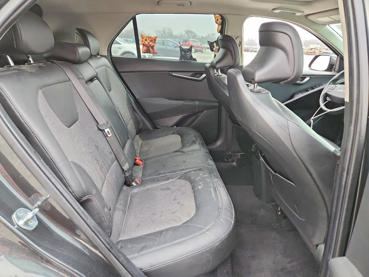 2023 KIA NIRO