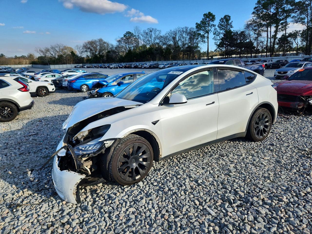 2021 TESLA MODEL Y